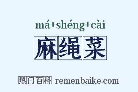 麻绳菜是什么意思的图片